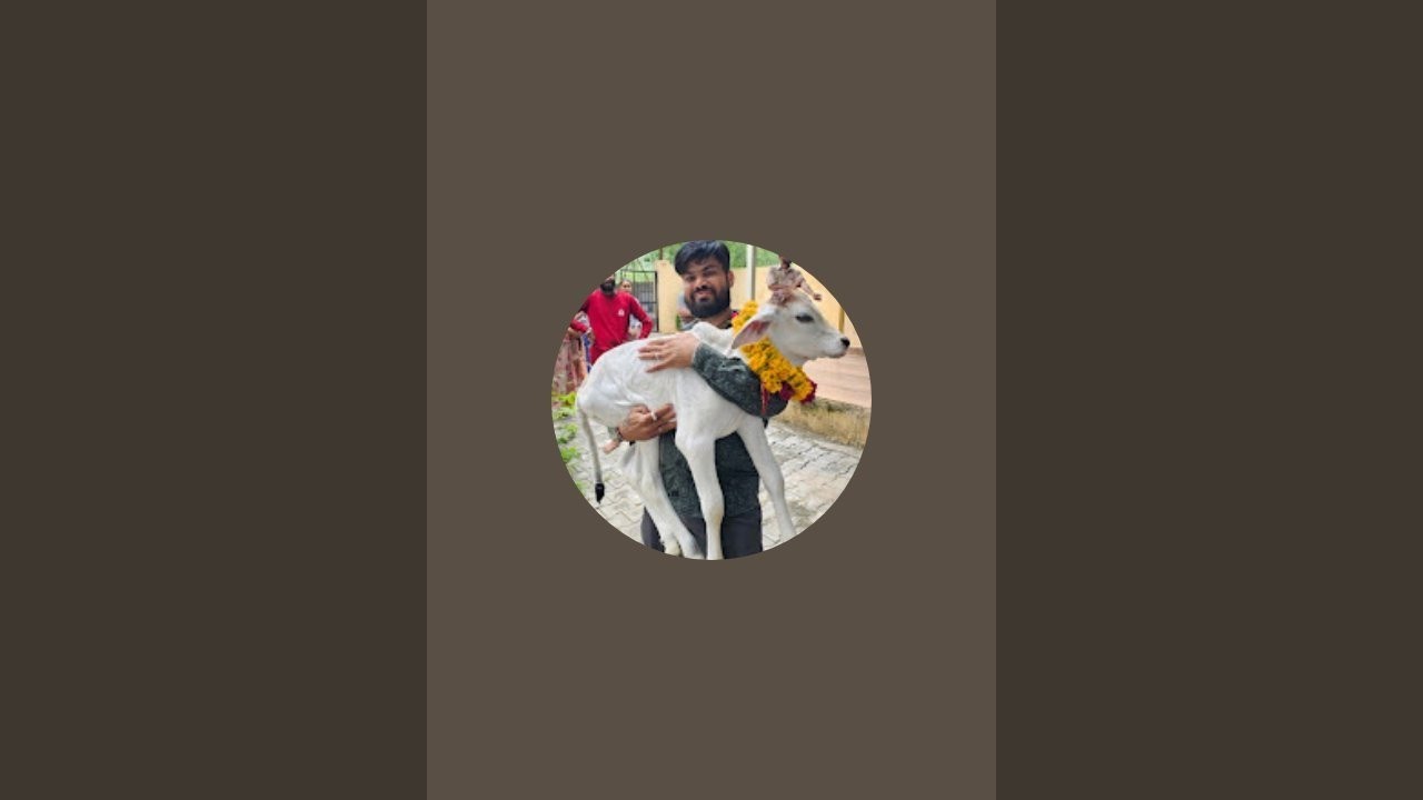 gow bhakt Dinesh Soni  is live
