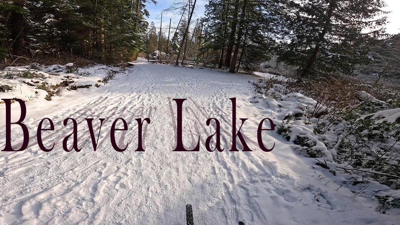 A frozen bike trip to Beaver Lake in Stanley Park. Rainforest Living on the West Coast - Vancouver.