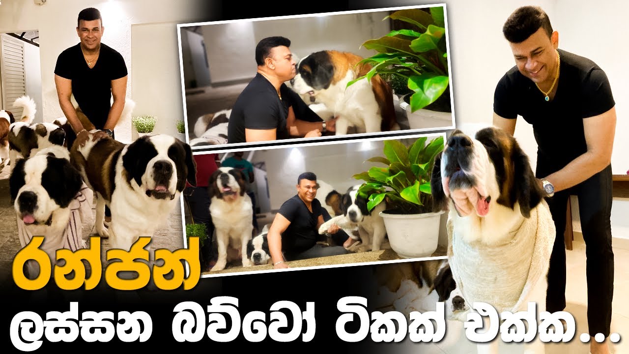 රන්ජන් ලස්සන බව්වෝ ටිකක් එක්ක