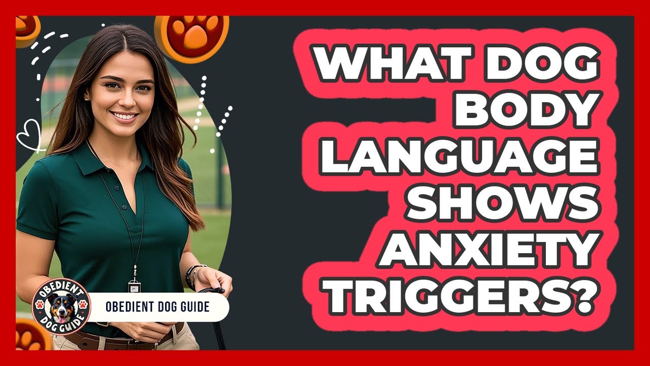 What Dog Body Language Shows Anxiety Triggers?