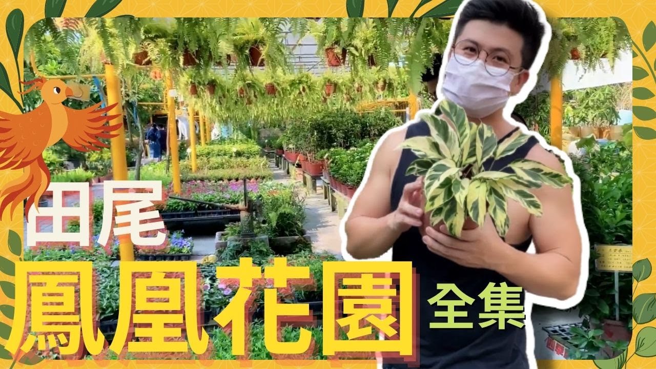 【田尾系列ep15】田尾去哪買花?!買樹、買水果，鳳凰花園讓你逛的開心，買得更開心。EP10