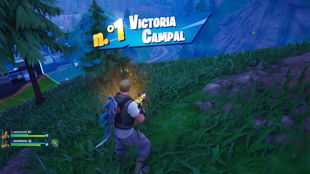 Fortnite | Victoria - 8 kills