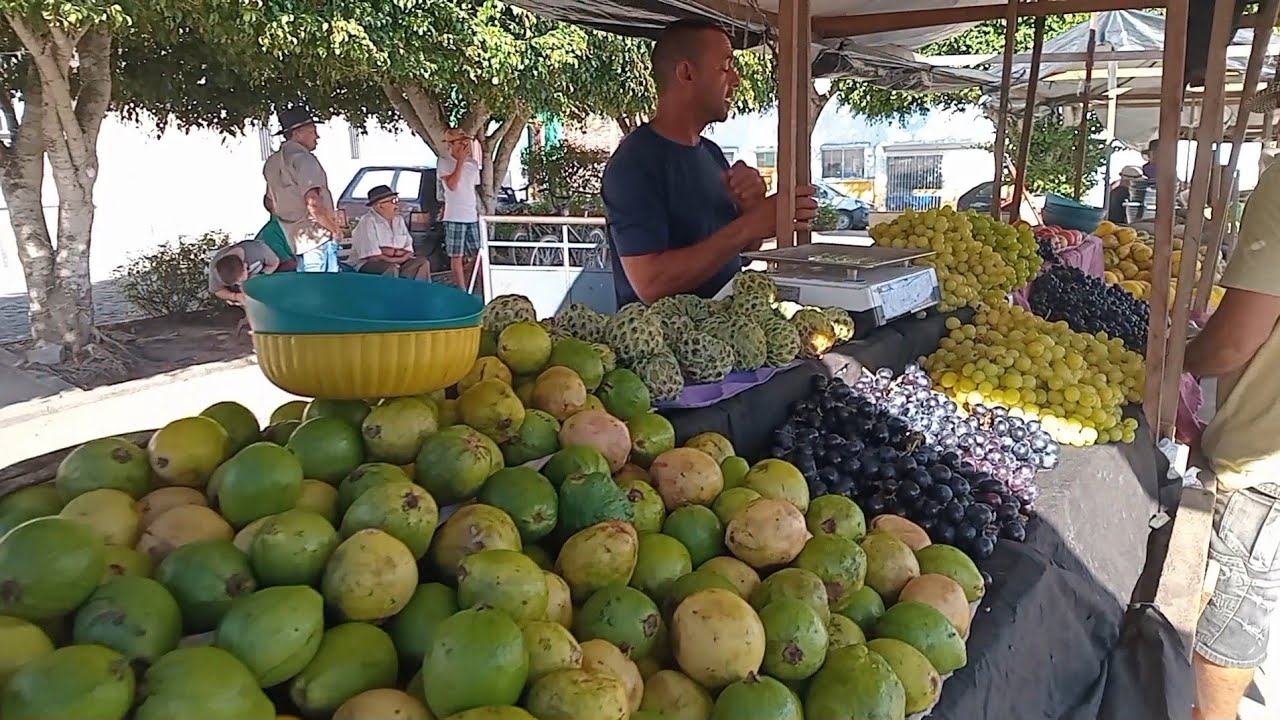 FEIRA LIVRE DO BOLA EM PANELAS_PE 28_12_2025 