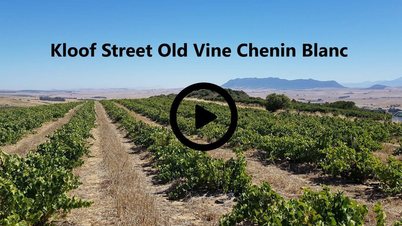 Kloof Street Chenin Blanc Online Tasting Note