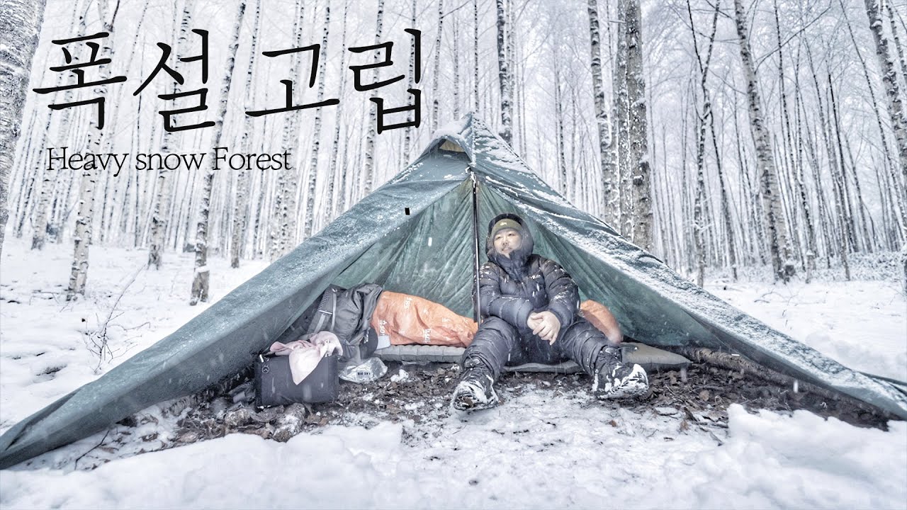 4K 폭설 내리는 숲에 스스로 고립 . 폭설 캠핑 . 자작나무 숲 . 조용한 캠핑 . 눈 내리는 소리 ASMR