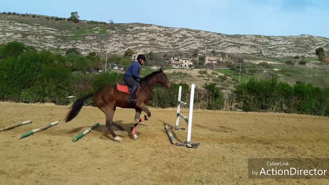 Esercizi di salto ostacoli  1