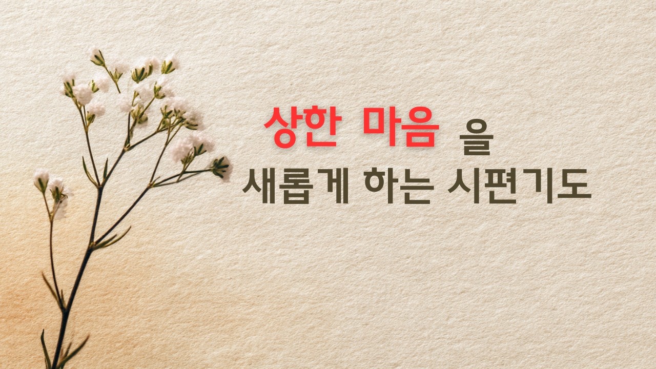 상한 마음을 위한 시편기도│ 시편 51–55편