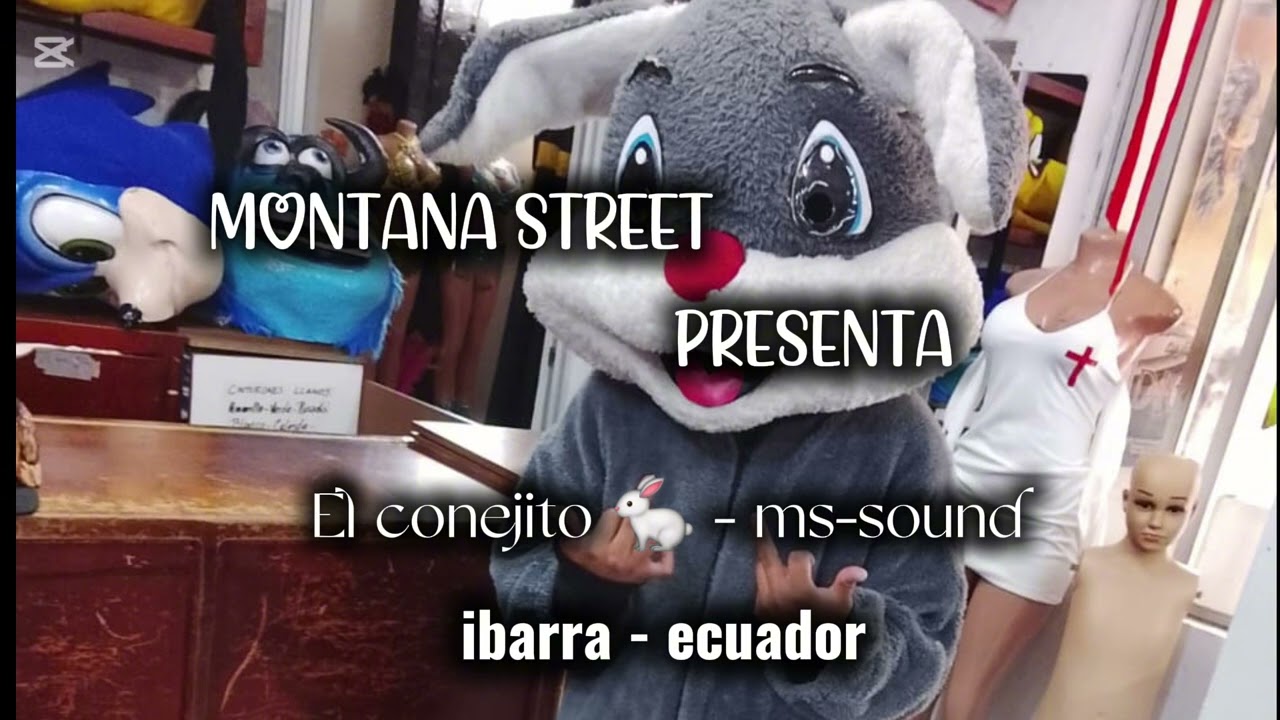 El conejito 🐇 montana street (video music)