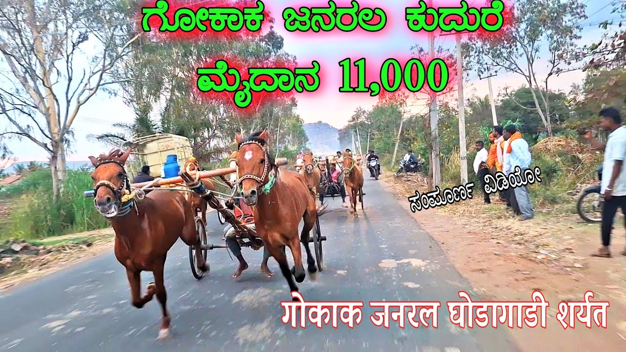 ಗೋಕಾಕ ಜನರಲ ಕುದುರೆ ಮೈದಾನ 11,000 |गोकाक जनरल घोडागाडी शर्यत |Gokak HorseCart Race 27/1/2026
