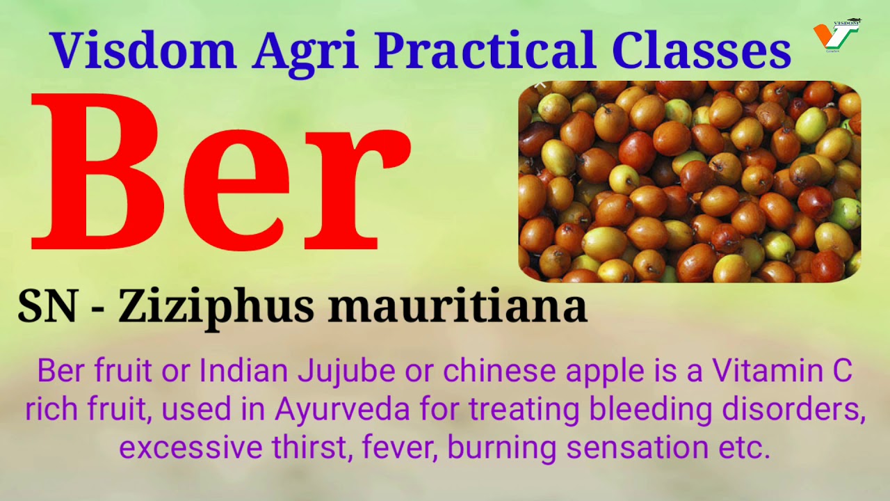 Agriculture practical Test  2019