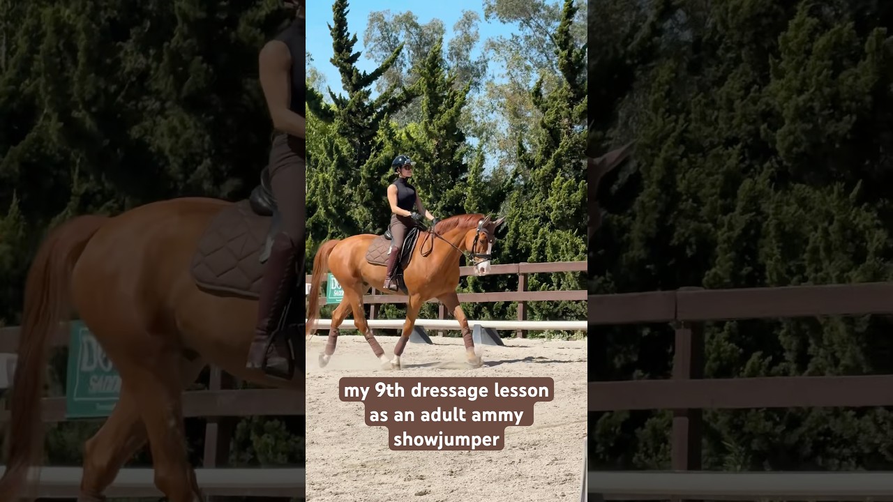 dressage is so hard but I love it!! #equestrianjourney #horse #equestrian #dressage #horseriding