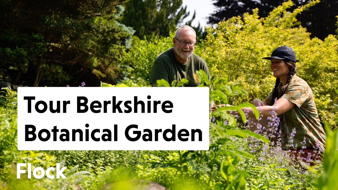 A TOUR of BERKSHIRE BOTANICAL GARDEN — Ep. 324