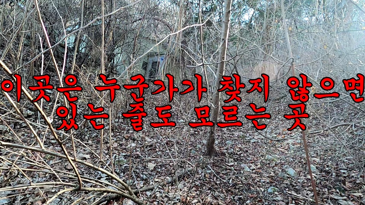 30년 동안 산속에 묻혀지낸 폐가
