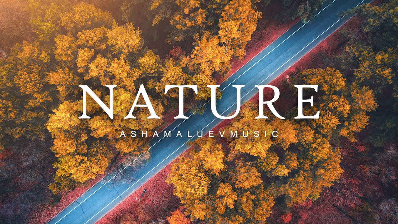 Nature - by AShamaluevMusic (Official Music Video & Audio)