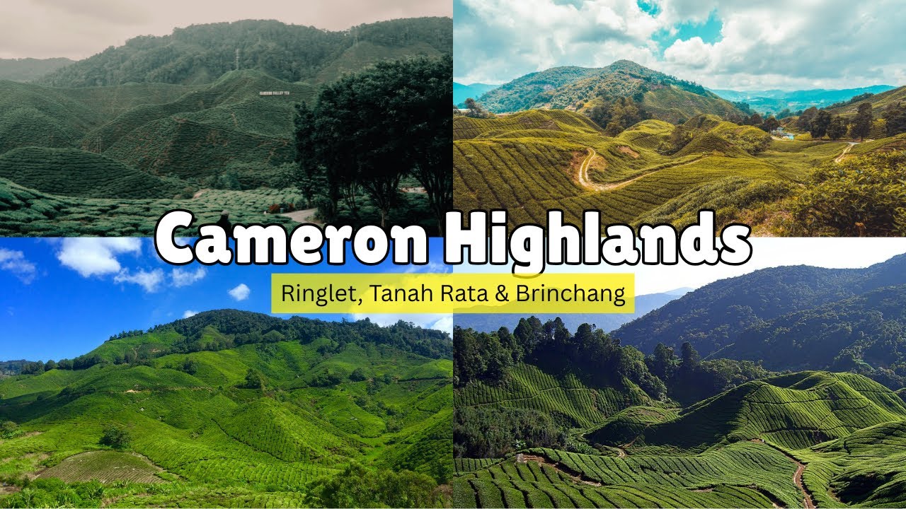 3 Main Towns in Cameron Highlands That You Should Know Before Planning Your Holiday