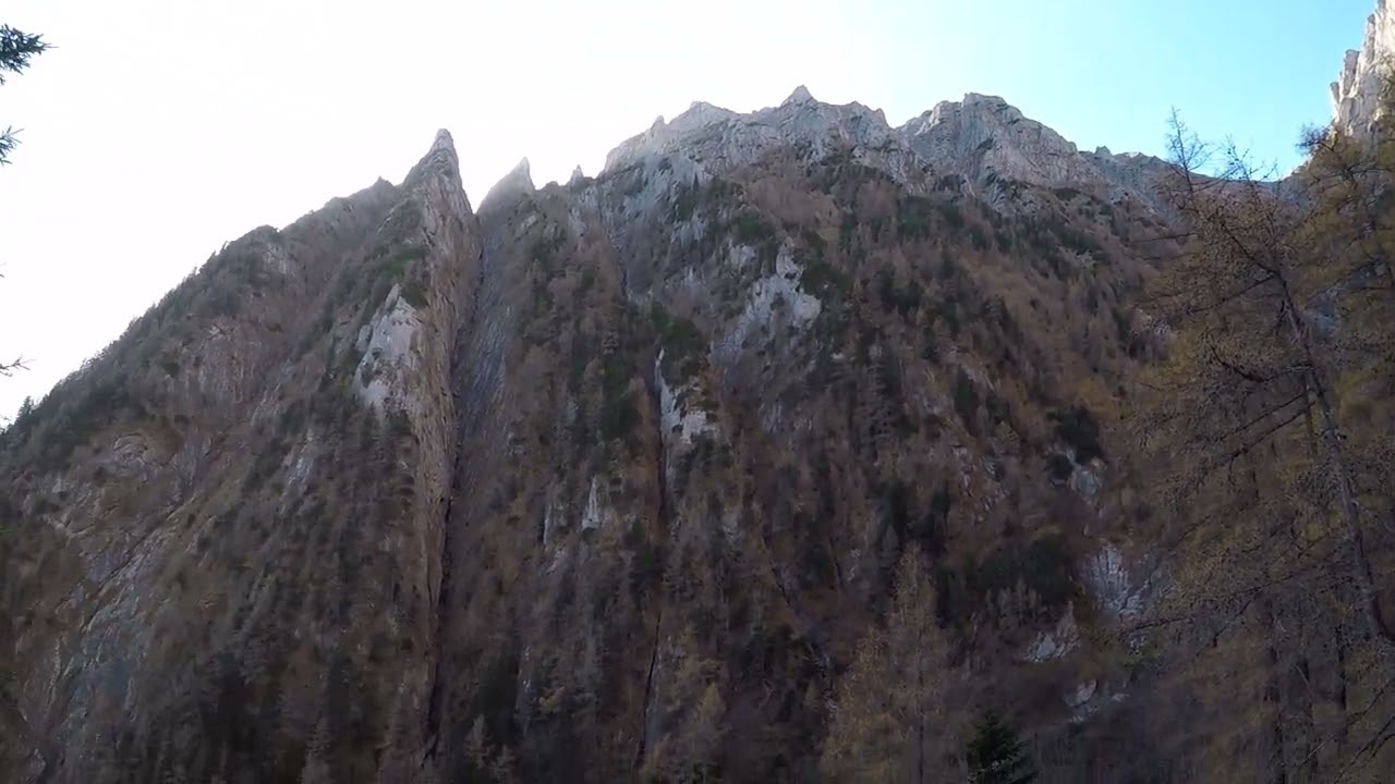 Bușteni-Valea Albă (,,la verdeață&rdquo;)-refugiul Coștila, 01 noi.2022.