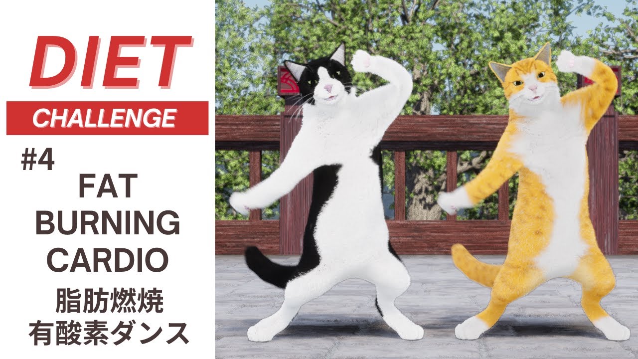 【夏に向けてダイエット！】 #4 脂肪燃焼有酸素ダンス
