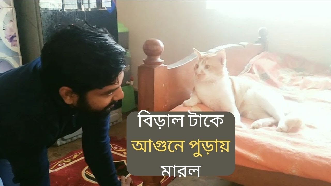 Love the cat, don't burn it to death । sonia Akter Munni