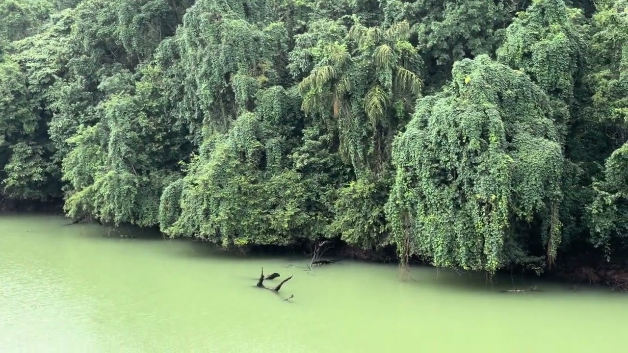 Supa Dam - KA
