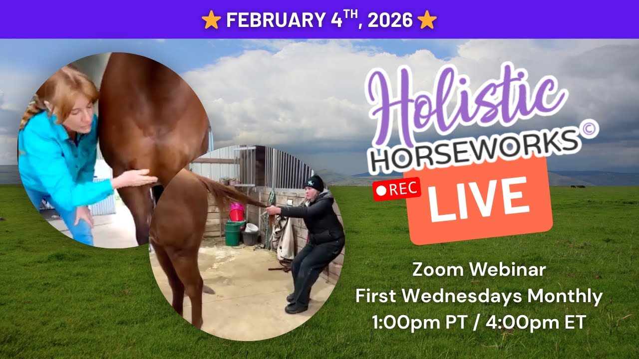 Holistic Horseworks Live: February 4th, 2026