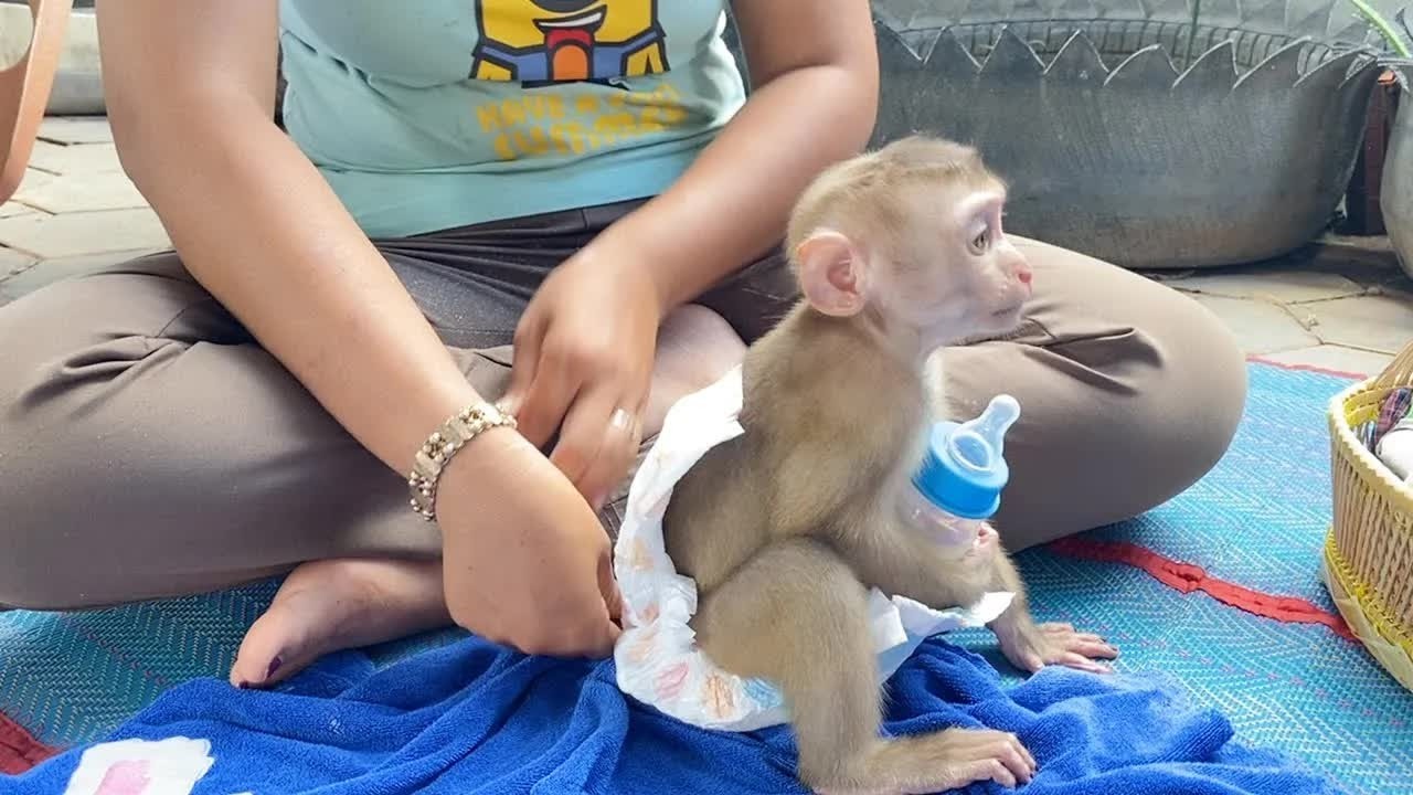 Lil DAM Sit Manner For Mom Change Diaper Before Lunch Time