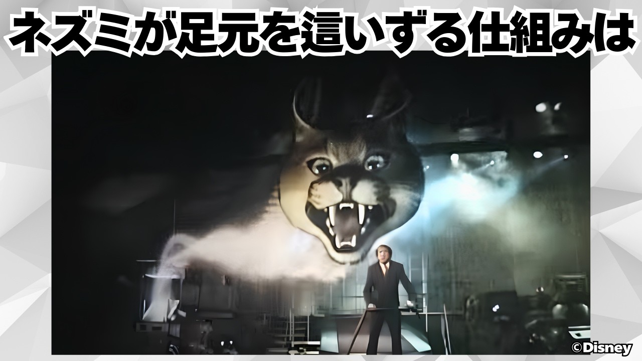 【第2弾】ディズニーのいつの間にか終了したアトラクションにまつわる豆知識
