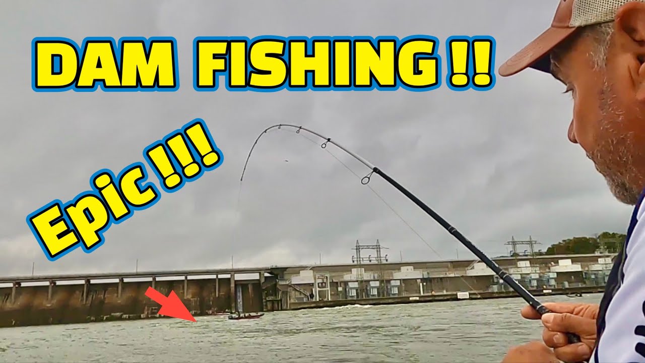 Fishing for “THE MOST BEAUTIFUL FISH” in the RIVER !!