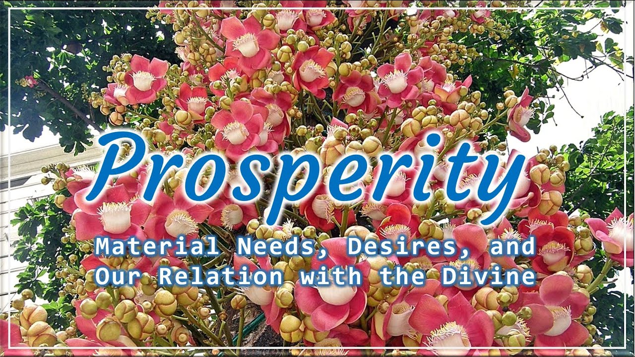 Prosperity  |  TE 526