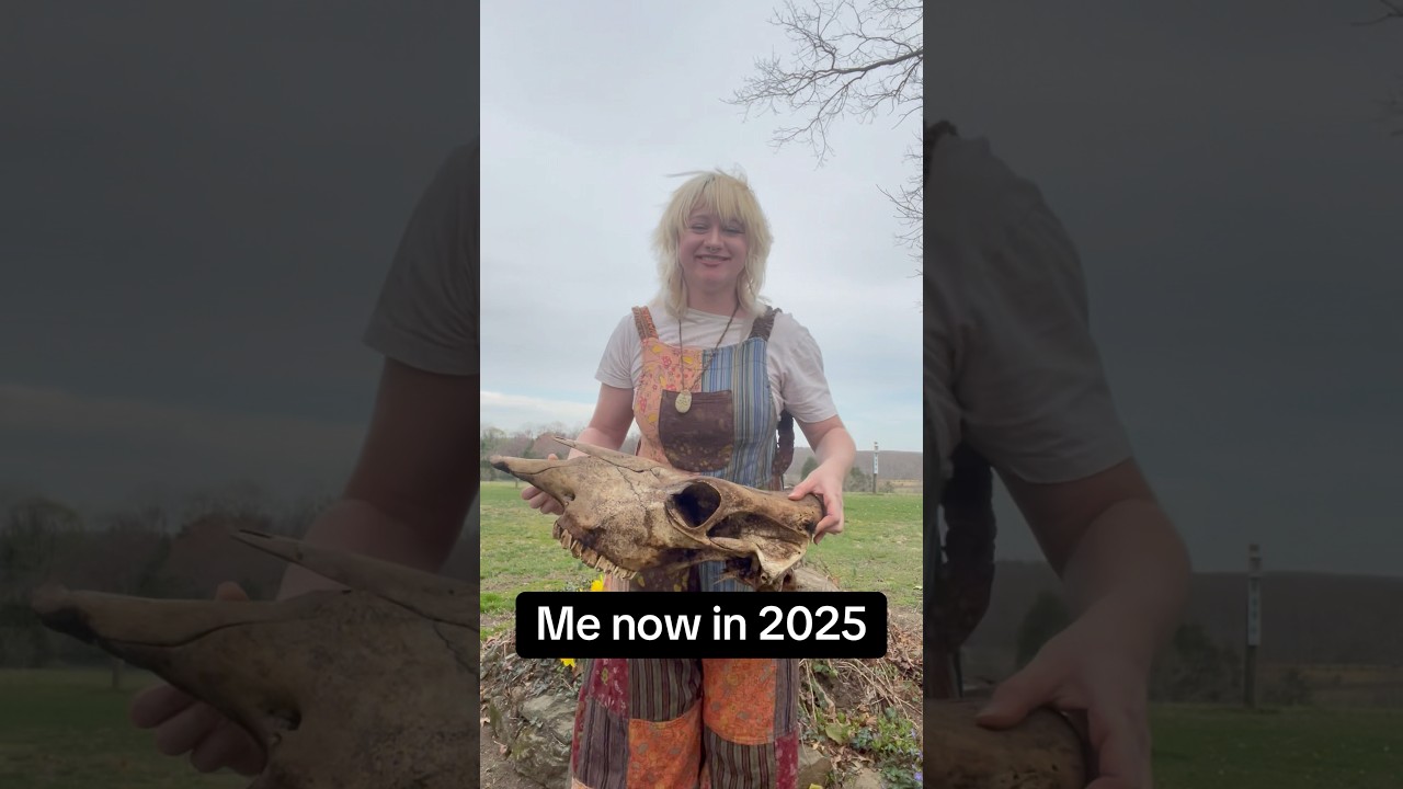 🖤✨Bone Collecting Meme✨🖤 #odditiesandcuriosities #vultureculture #bones #skull #cowskull #artist