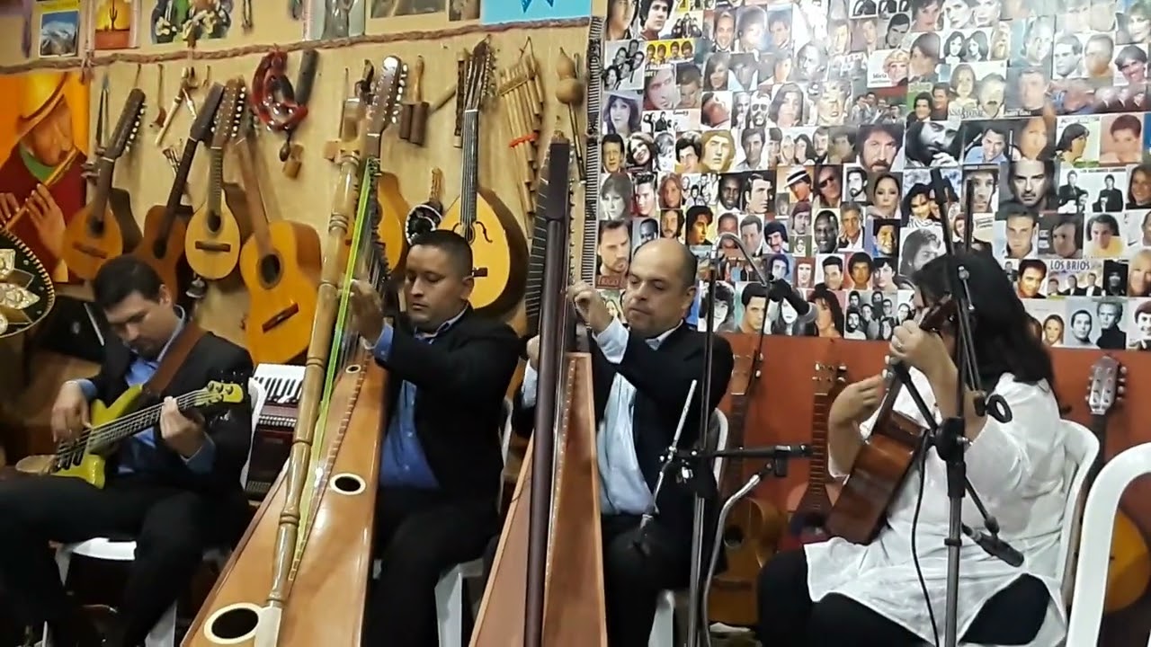CONCIERTO EN LA LLANURA Dany Harp & Jerson Contreras en La Bohemia