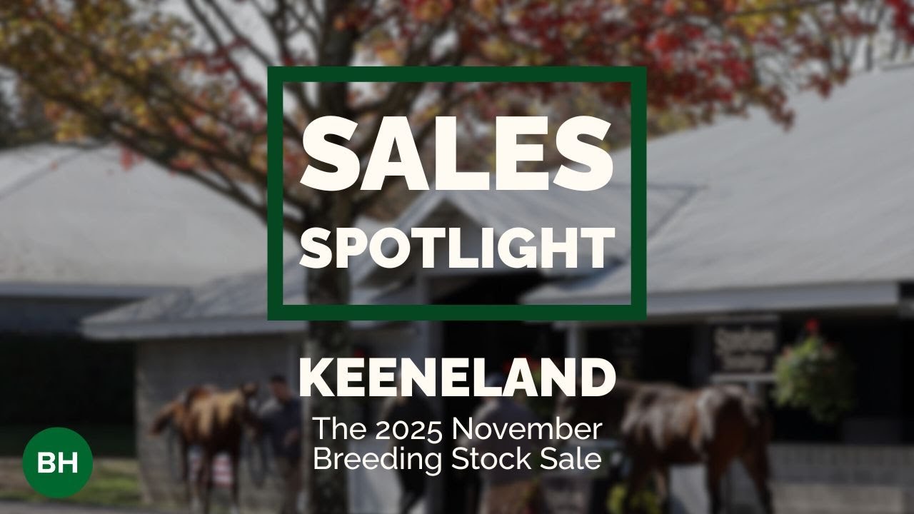 Книга 1 задаёт тон в Keeneland в ноябре