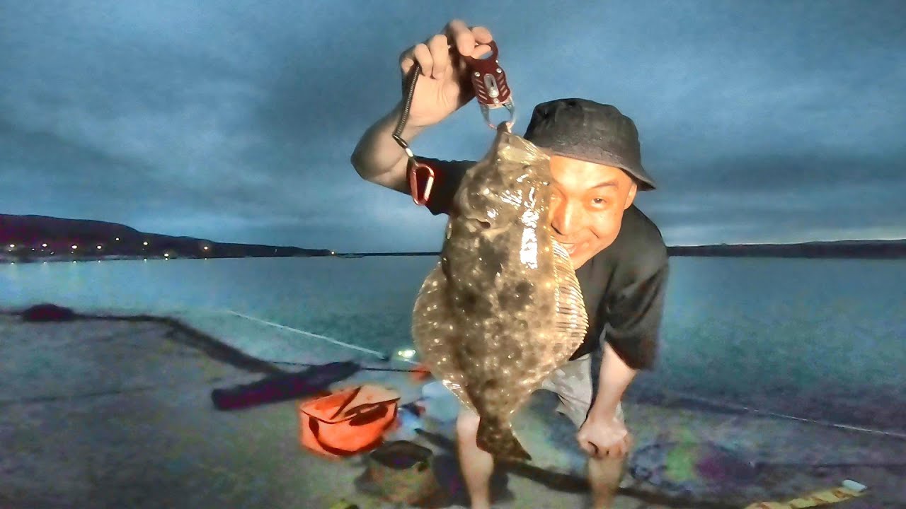 【アジ泳がせ】ヒラメ釣ってお刺身食べたらアニサキスで病院行き【佐渡ヶ島釣り車中泊#12】真野周辺