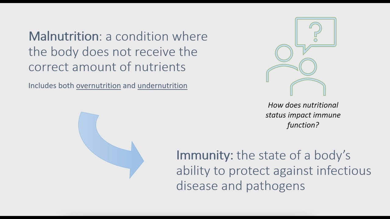 Malnutrition and Immune Function