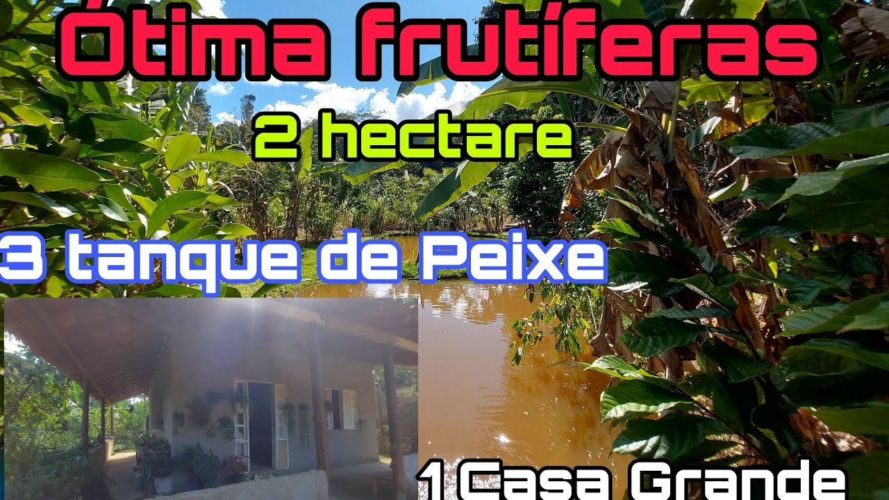 Chácara 2 Hectare com 3 tanque de peixe. ótima frutíferas em Produção. 140 mil