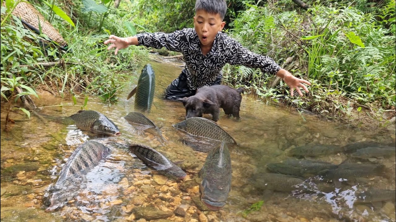 Full video: In 65 days, orphan boy Nam's made primitive fish traps, catching fish to sell