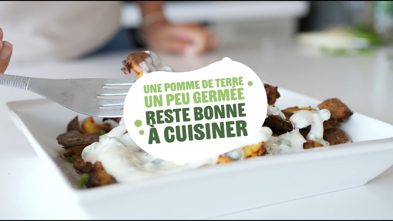 Vid&eacute;o OCEF - Pomme de terre