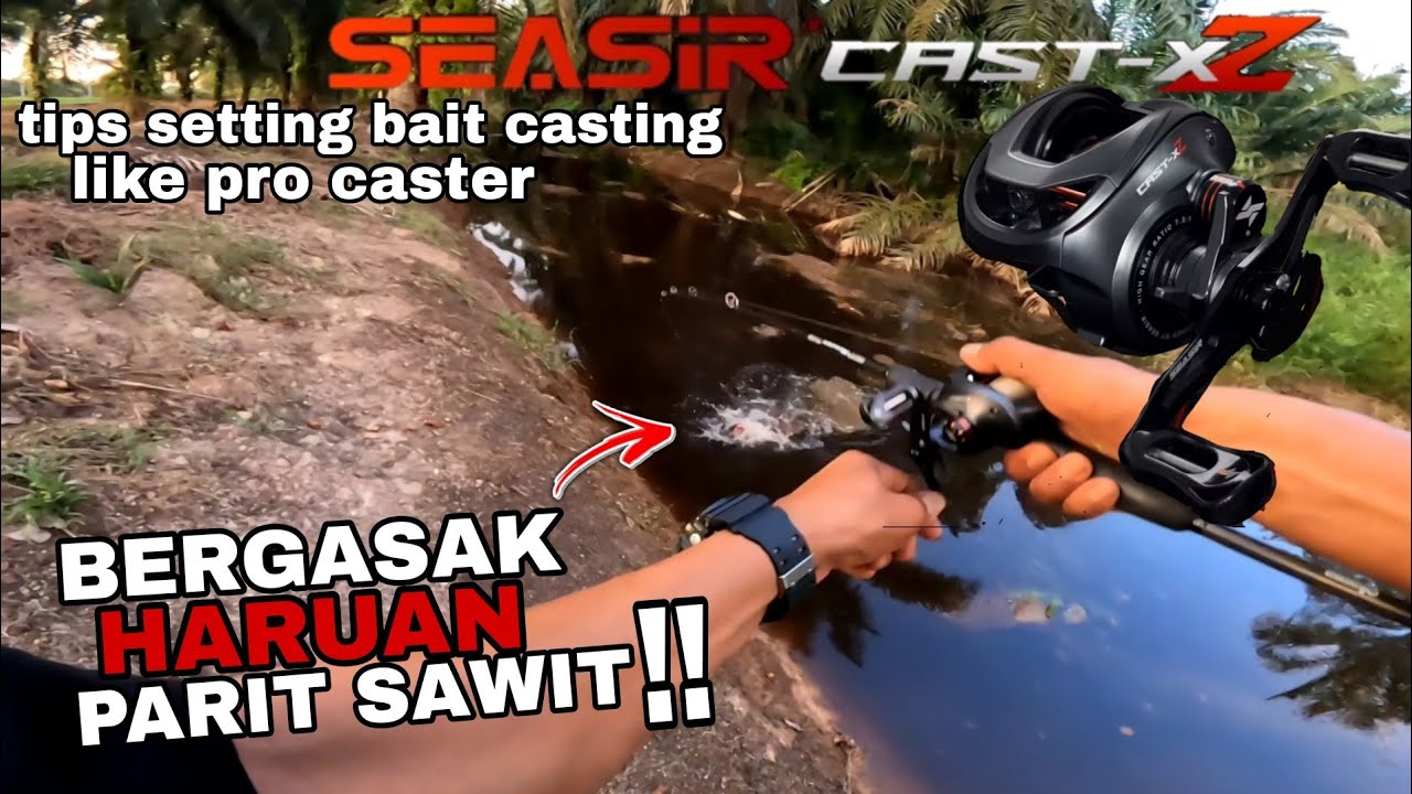 caating haruan !!. bergasak strike dengan reel baru. seasir cast XZ. cara setting baitcaster
