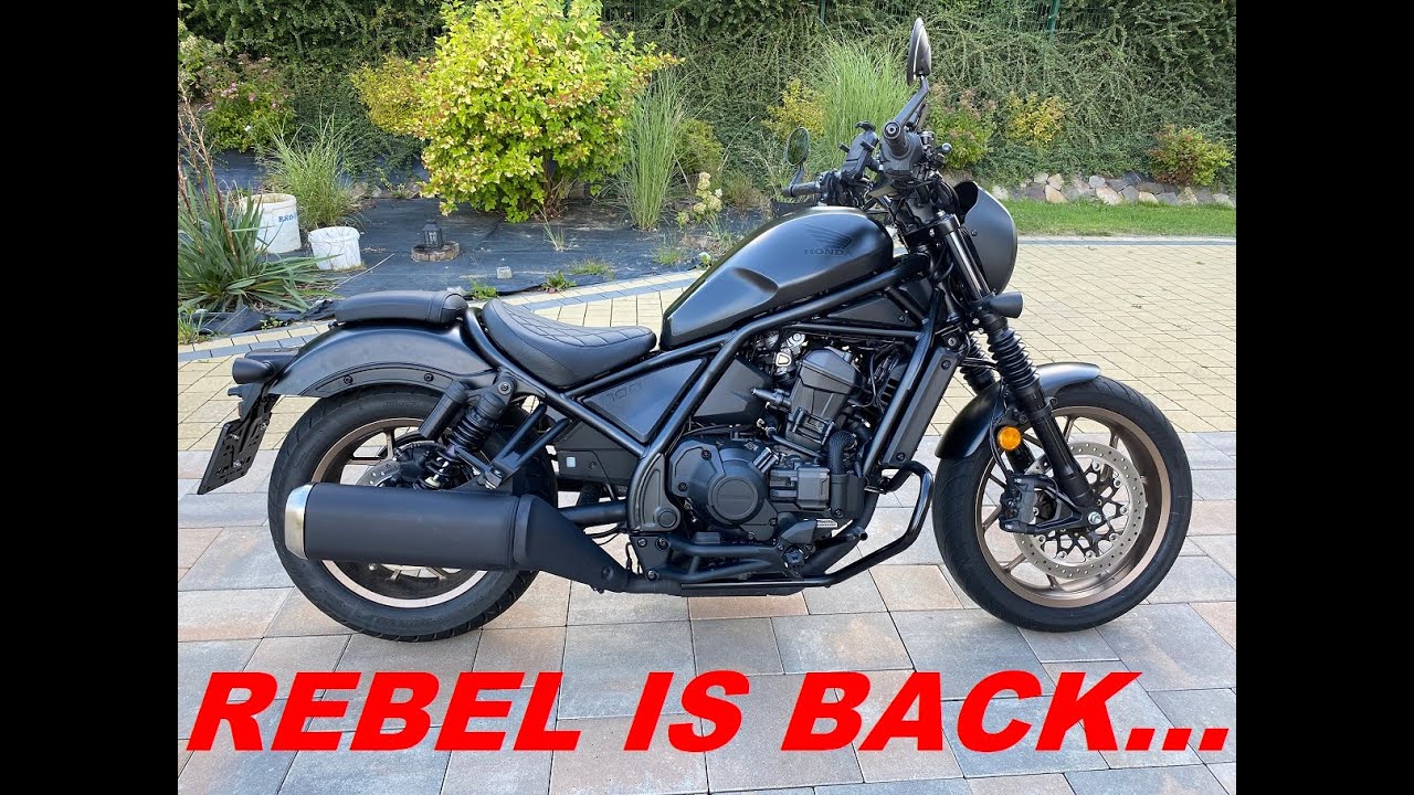 Rebel is back...... [2025]