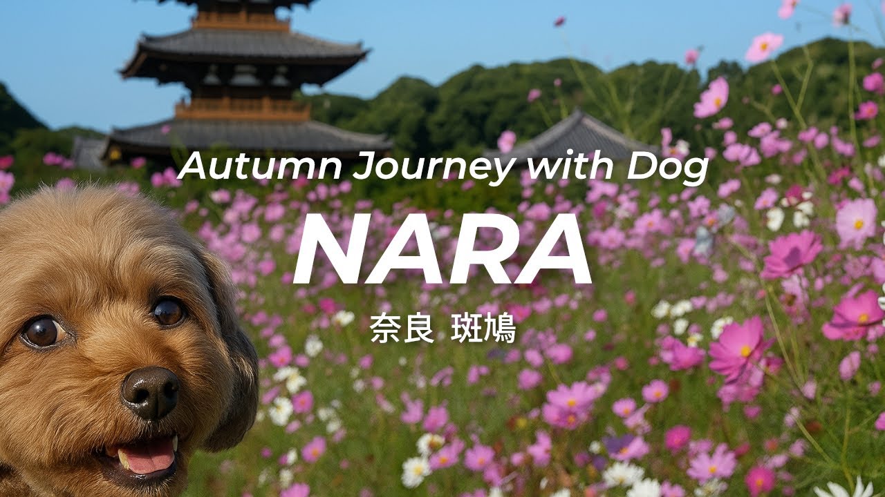 Nara Hidden Spots | Hōryū-ji Temple, Hōki-ji Temple, Cosmos Fields | Autumn in Japan