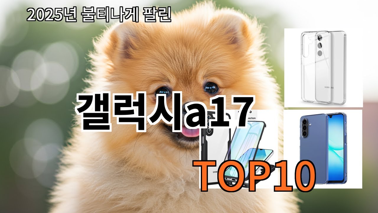 알리 갤럭시a17 실사용 후 계속 쓰는 제품