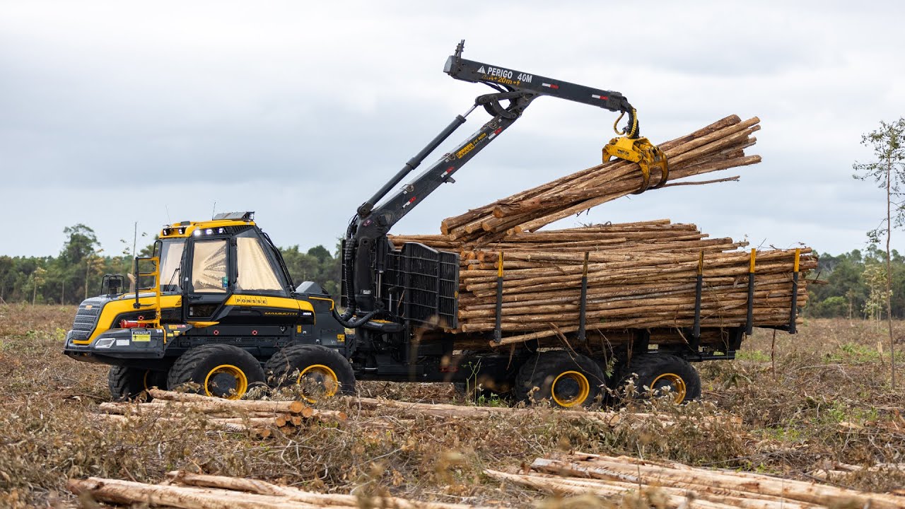 PONSSE Mammoth: maior forwarder da Ponsse alcança 30% mais produtividade em testes no Brasil