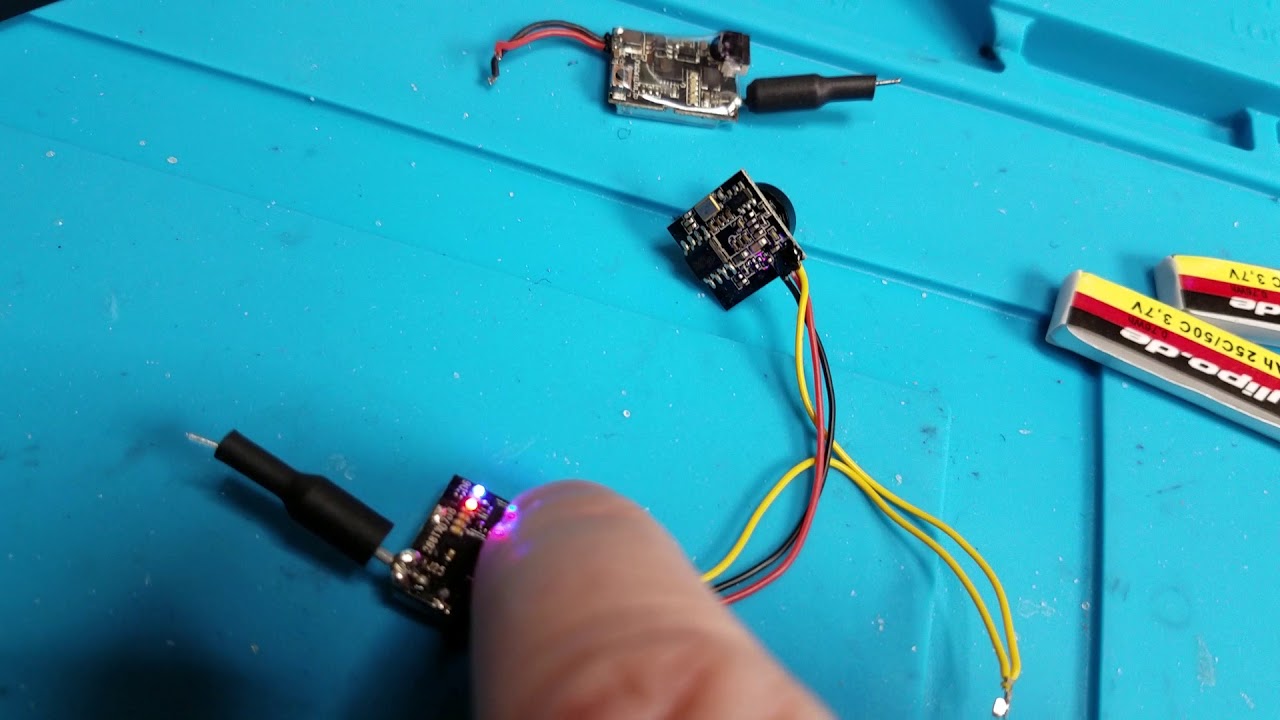 Wolfwhoop q2