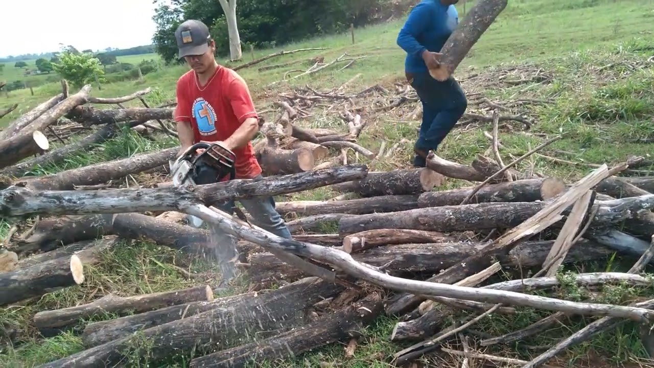 Motosserra 382 no pega da lenha