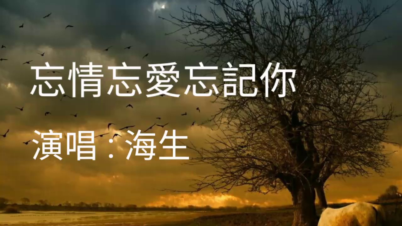《忘情忘愛忘記你》演唱 : 海生