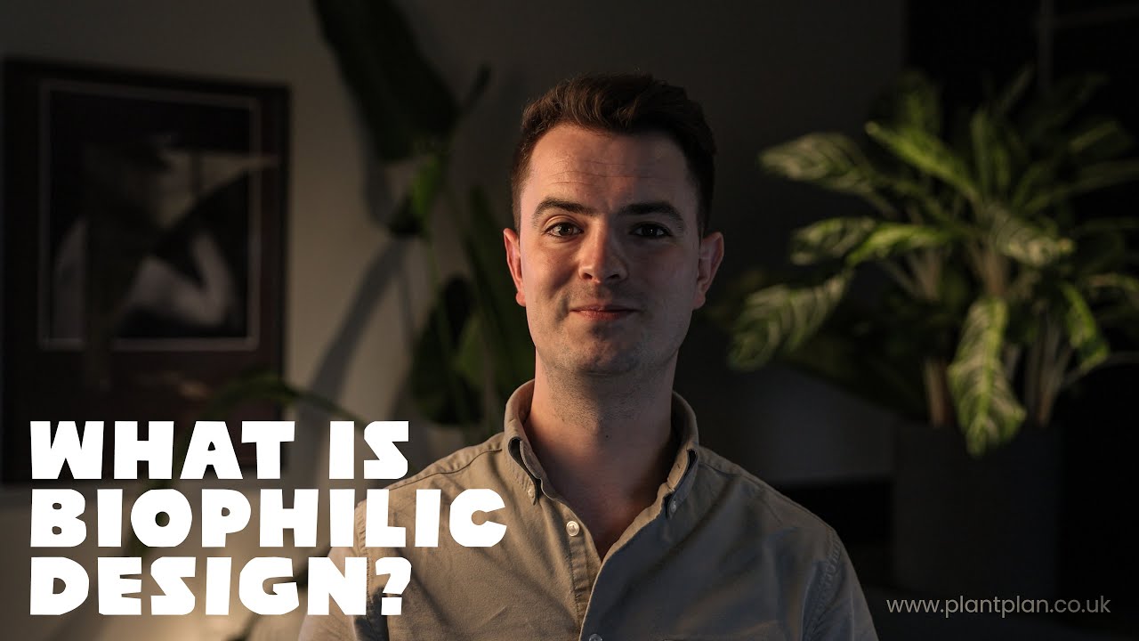 What is Biophilia