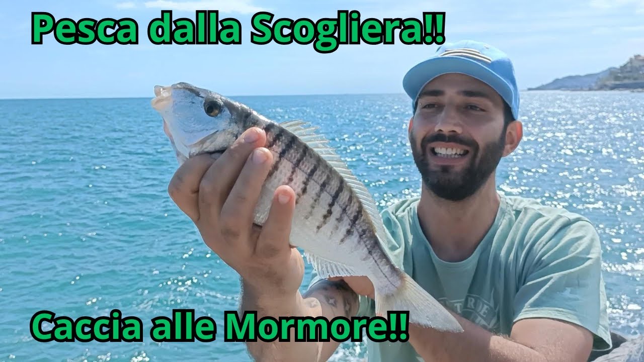 A Fondo dalla Scogliera per Mormore da Sogno! Pesca Estrema tra gli Scogli