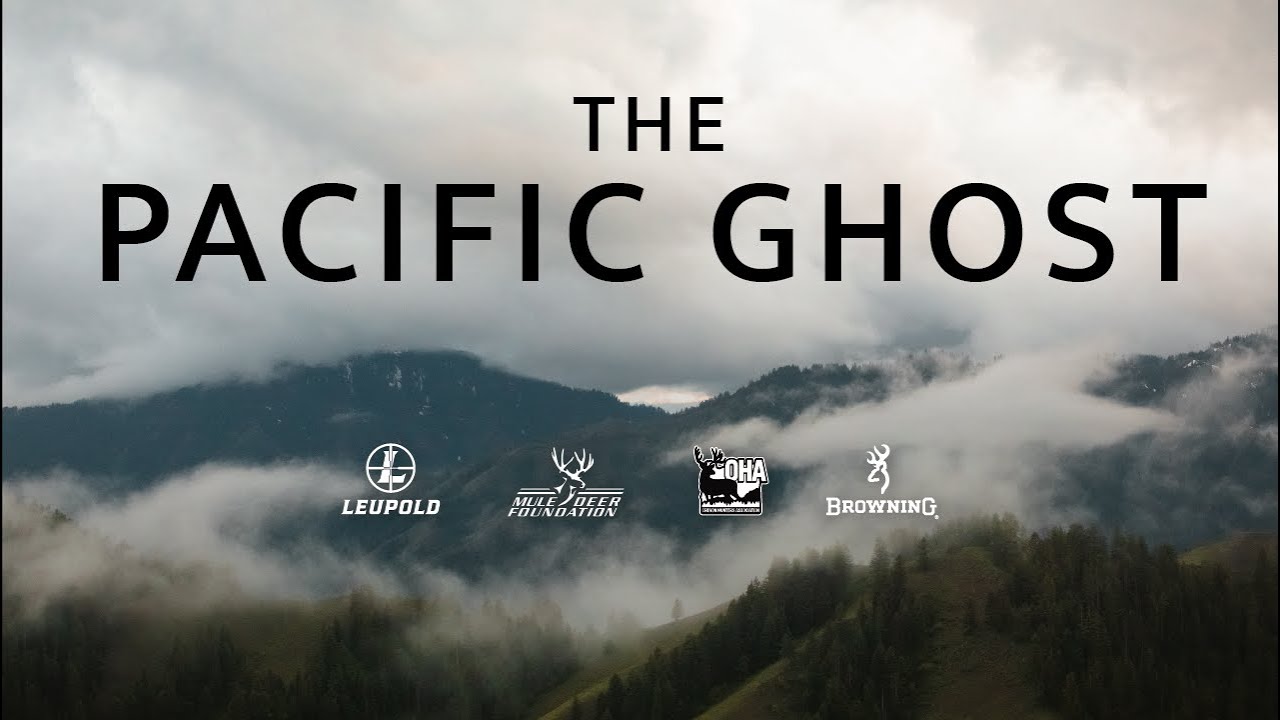 The Pacific Ghost - Conserving Black-Tailed Deer in Oregon