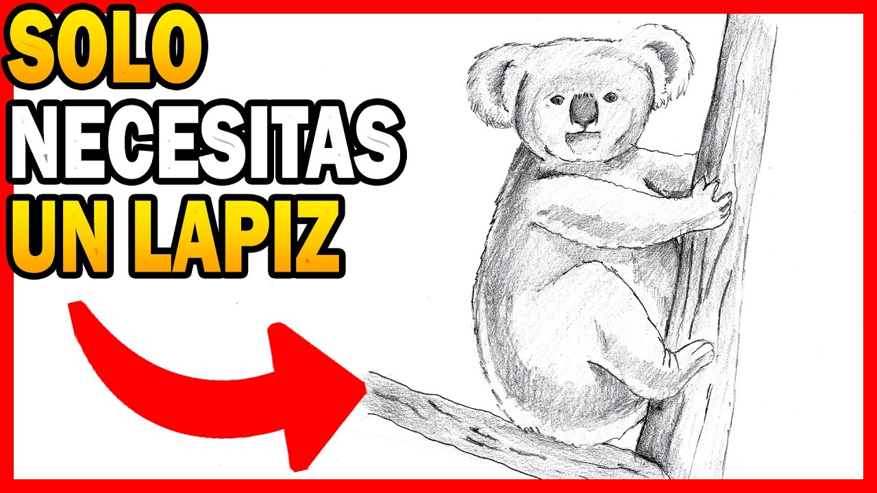 🥇 Como 🅳🅸🅱🆄🅹🅰🆁 un KOALA realista paso a paso 【 MUY FÁCIL 】✅ dibujo de UN KOALA A LAPIZ
