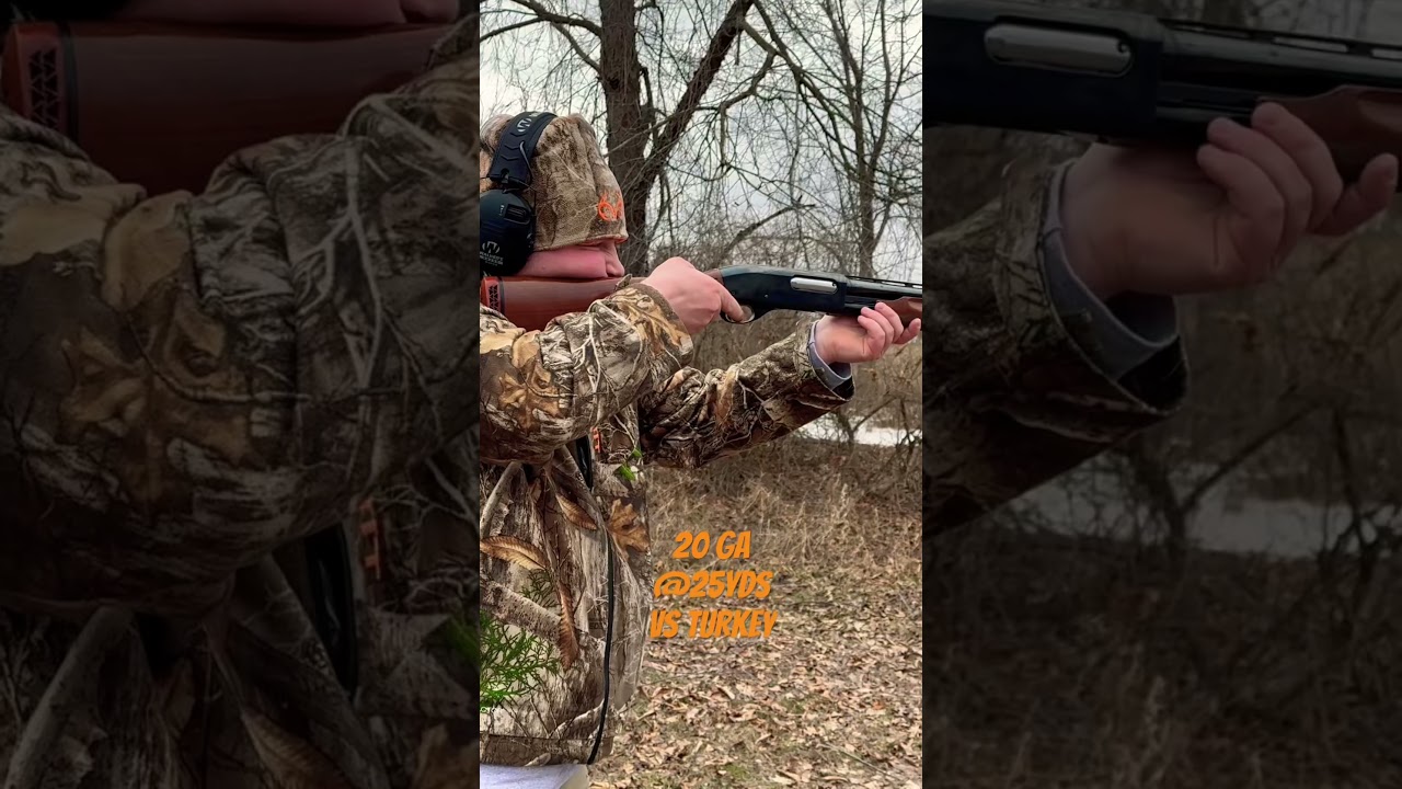 20 ga VS turkey at 25 yards #hunting #wildlife #turkey #hunters #turkeyhunting
