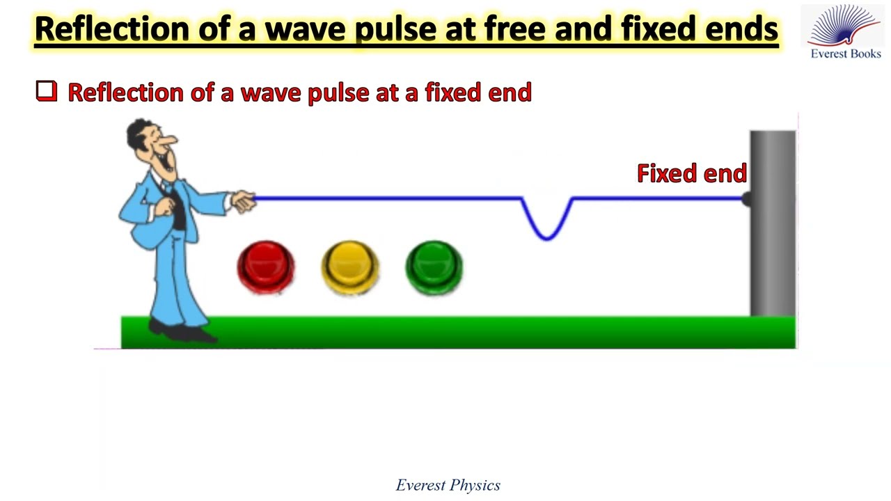 Reflection of a wave pulse at free and fixed ends-Animation